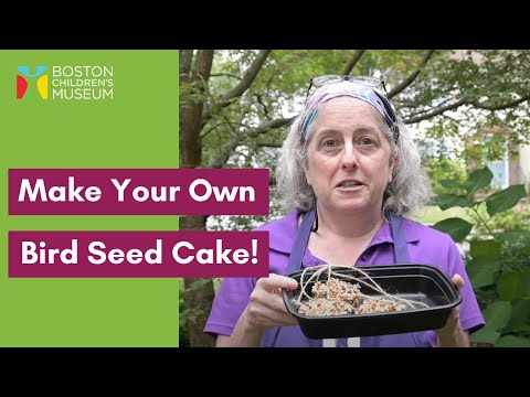 Make Your Own Homemade Bird Seed Cake!