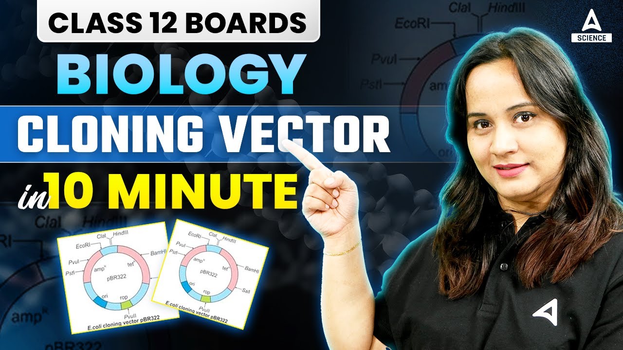 Cloning Vectors - Biotechnology: Principles and Processes | In 10 Mins | Class 12 Biology