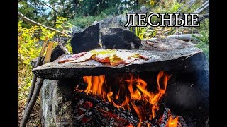 Дикая кухня - КАМЕННАЯ ПЕЧЬ | Bushcraft Stone Kitchen