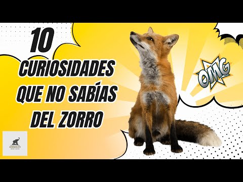 🦊 El Universo Fascinante del Zorro: Datos Increíbles:Comunicación 🗣️, Camuflaje 🌵 y Más.Curiosidades