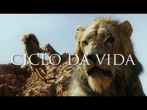 ATÉ OS REIS TEM MEDO... | O Rei Leão