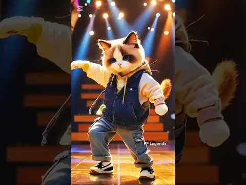 cat dance and song chalea