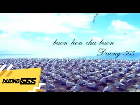 Buồn hơn chữ buồn - Dương 565