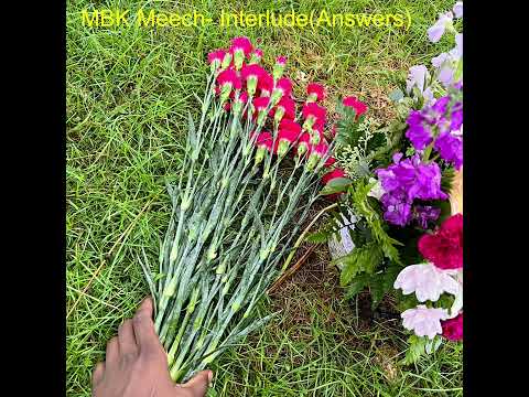 MBK Meech- The Interlude (Answers)