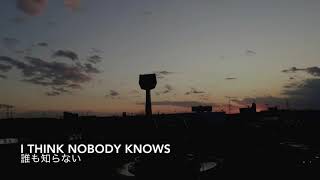 【和訳】Nobody Knows【歌詞】P!nk