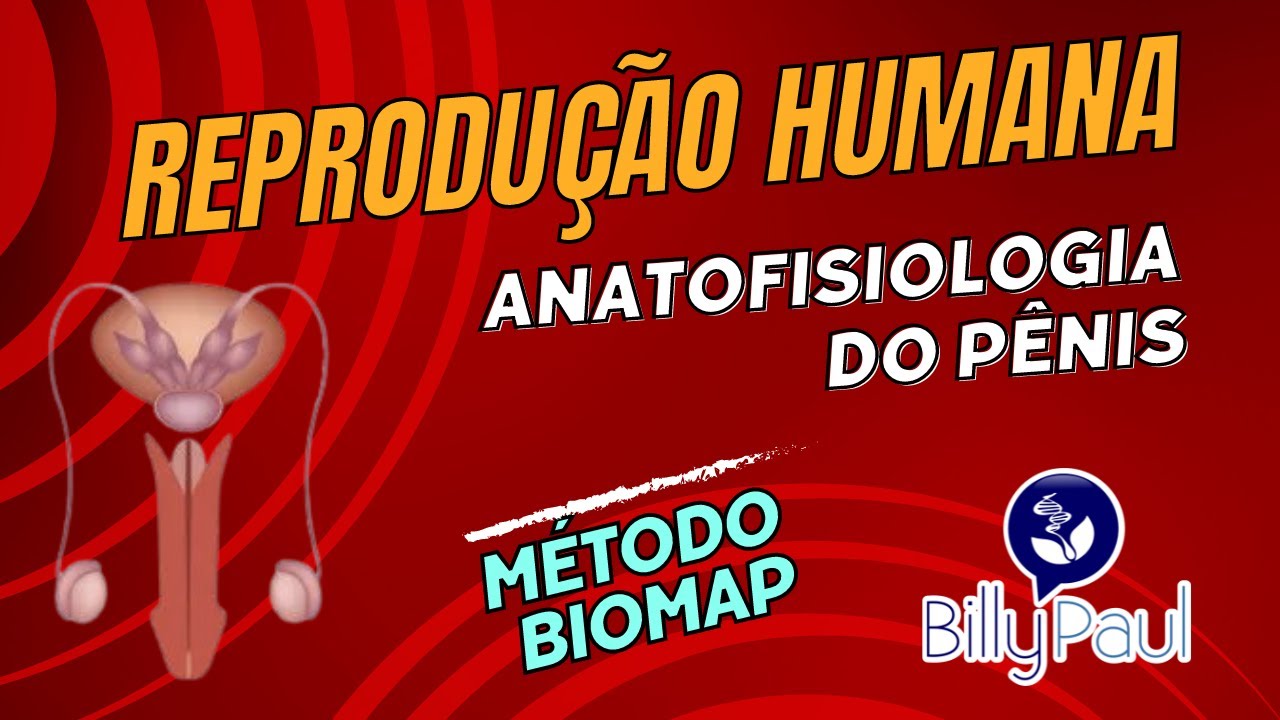 🔴  Anatofisiologia do Pênis - Prof. Billy Paul - Método BioMap - Download na Descrição