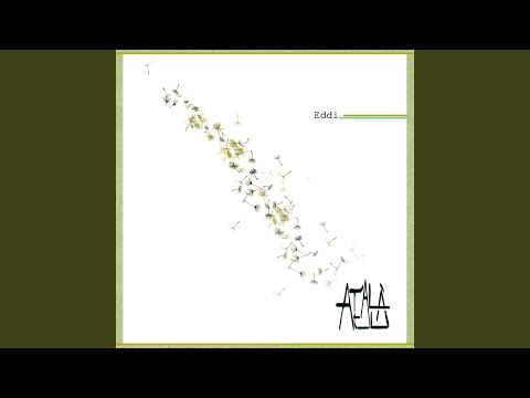 Eddi