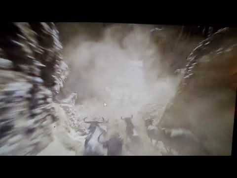 The fish king part 10 the stampede Pooh death