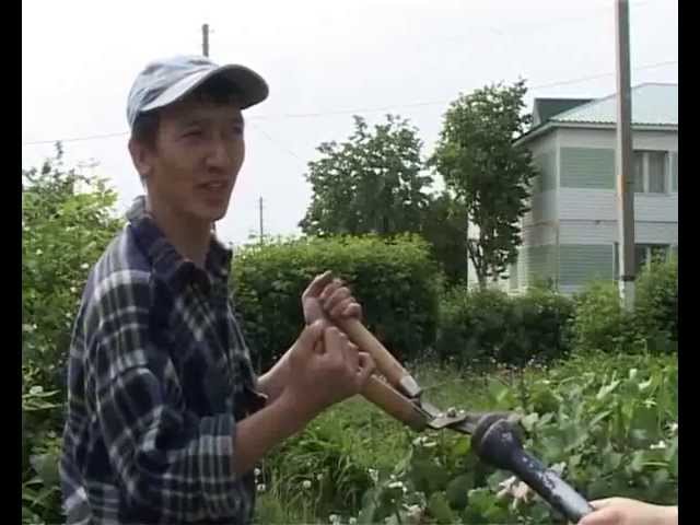 В Нурлате – чужестранец.
