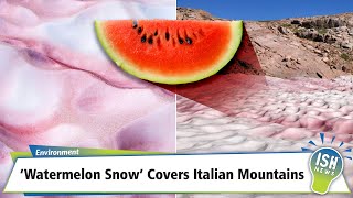 ‘Watermelon Snow’ Covers Italian Mountains