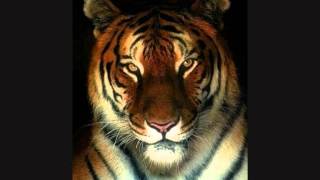 MILLIE JACKSON ... LEFTOVERS ...