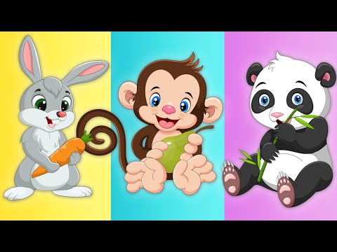 Ce mananca animalele la gradina zoologica | Copilasi Dragalasi