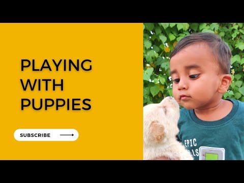 Playing with Pet Puppies 🐶🐕by Viyan Chirumarthy||Fun for kids||videoshow||Viyan Chirumarthy channel