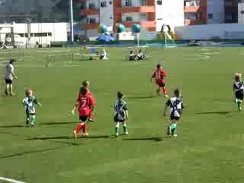 Torneio Paços de Brandão