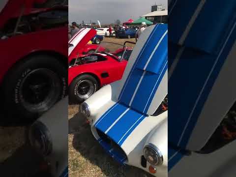 Thumbnail for AC COBRA'S PART 2 🔥#shorts #retrocardogs #accobras #zwartkopsraceway #carsinthepark2022 by Car