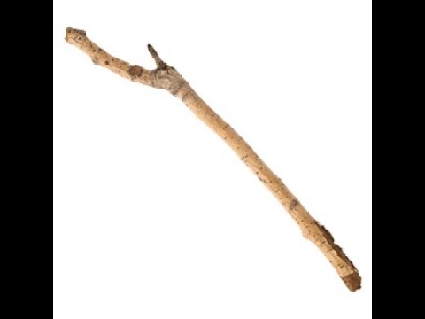 Dark Souls 3 Prince Lothric Boss Fight With "Stick"