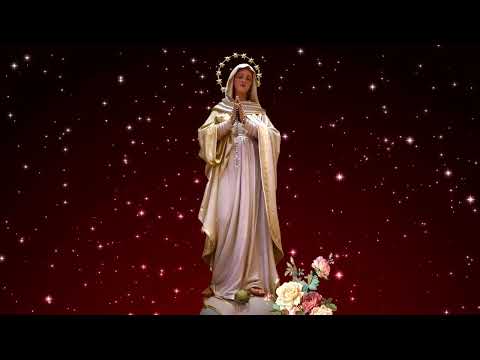 Mother Mary background video - No Copyright || 119