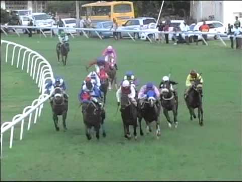 Race #8 of November 15, 2014