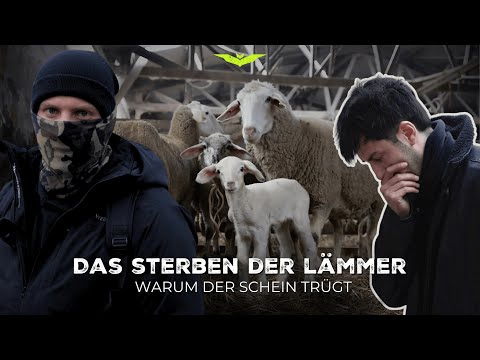 SO HAST DU SCHÄFEREIEN NOCH NIE GESEHEN