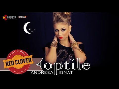 Andreea Ignat - Noptile