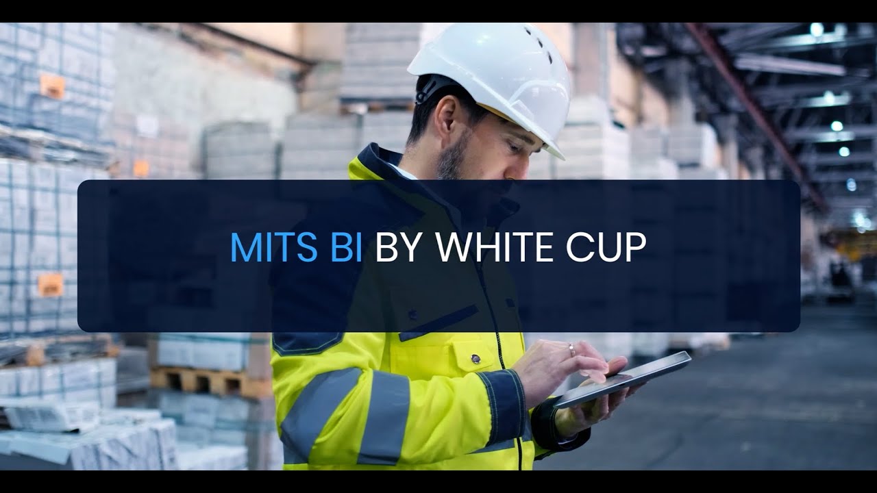 White Cup MITS BI - Business Intelligence