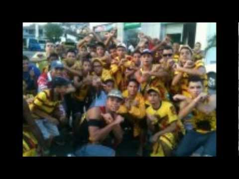 Mc Sapo TJS Resposta pra inferno cú