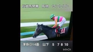 【◎秋競馬開幕　中山競馬　阪神競馬◎】渾身の１頭に。。