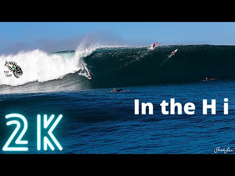 Video Contest- Video of the Day #43