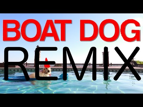 Markiplier - Boat Dog [DRUM AND BASS REMIX]
