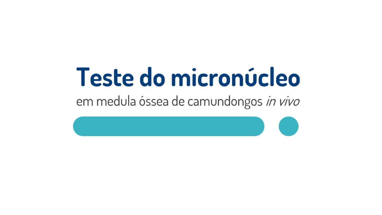 Teste do Micronúcleo em Medula Óssea de Camungondos - MutaGen-Brasil