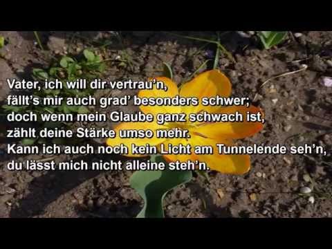Vater, ich will dir vertrau'n  - Mutmachlieder für Königskinder 10