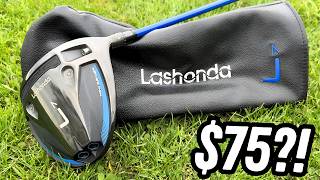 This CHEAP Mini Driver Just Shocked Me… The Results Were INSANE 😳🔥