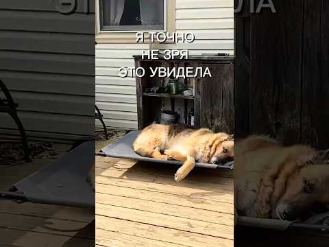 18 апреля 2026 г.