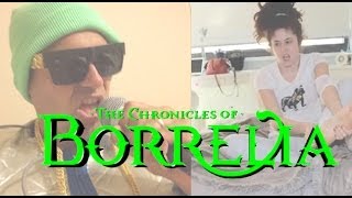 The Chronicles of Borrelia