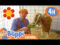 Blippi Va A Una Granja Blippi Español Videos Educativos Para Niños Aprende Y Juega