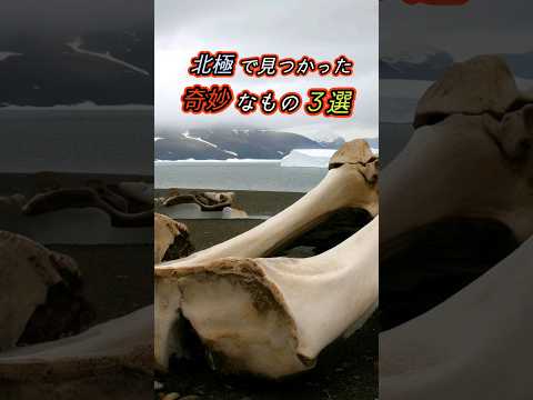 「劇的な影響」:南極で致命的な発見が研究で判明