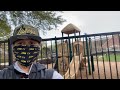 BIZZY BONE ENROLL'S SON IN PRIVATE SCHOOL (JAM)!!!