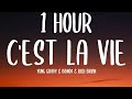 Yung Gravy Bbno Rich Brian C Est La Vie 1 HOUR Lyrics