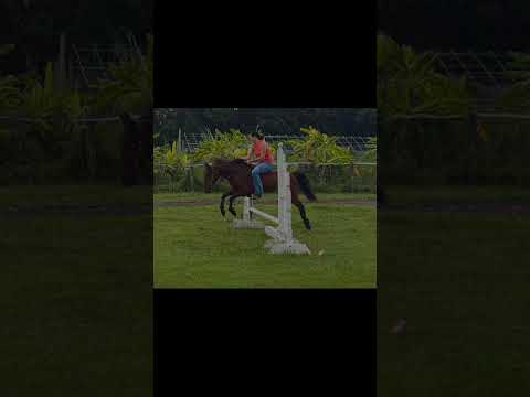youtube preview