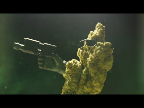 KILLER WEED – A SHORT FILM