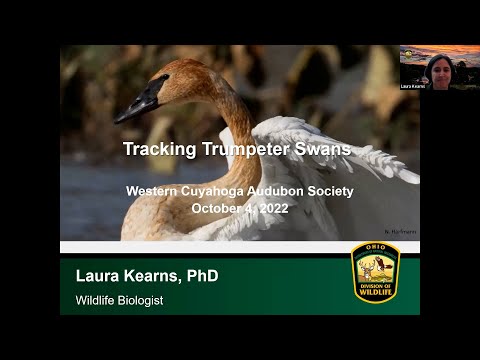 WCAS Member Meeting and Speaker Series October 2022: Tracking Trumpeter Swans