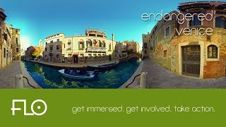 002 - Endangered Venice