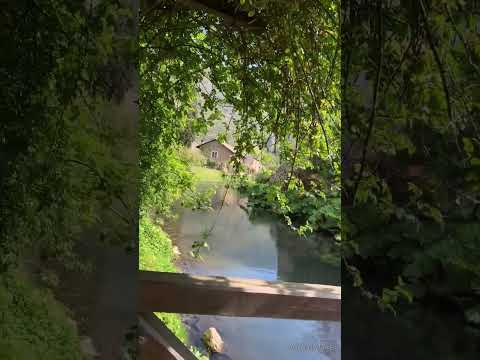 #italy #nature #giardino #di #ninfa 💚