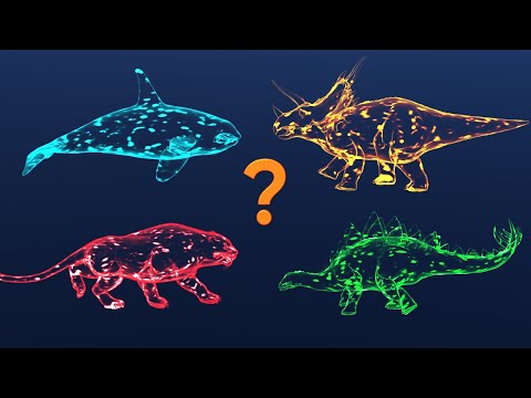 🦖 Dinosaurs | 🐋 Whales | 🐘 Wild Animals | 🐠 Sea Animals