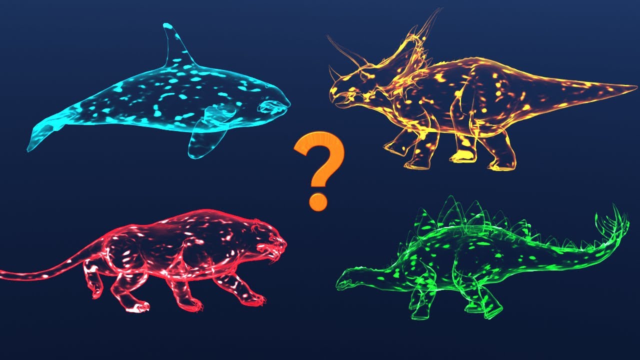 🦖 Dinosaurs | 🐋 Whales | 🐘 Wild Animals | 🐠 Sea Animals