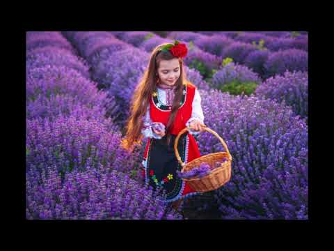 Георги Жбантов  - Македонско сърце