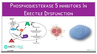 Phosphodiesterase 5 inhibitors Use in Erectile dysfunction Pharmacology