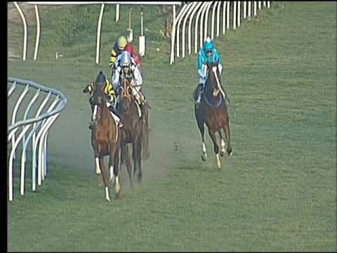 Galoppo 14/02/2017 - 3ª corsa