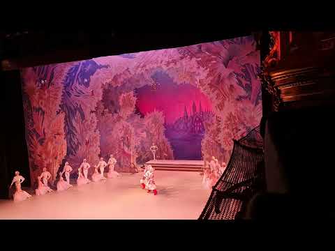 Trepak, Nutcracker Vaganova Ballet Academy 11.12.2021