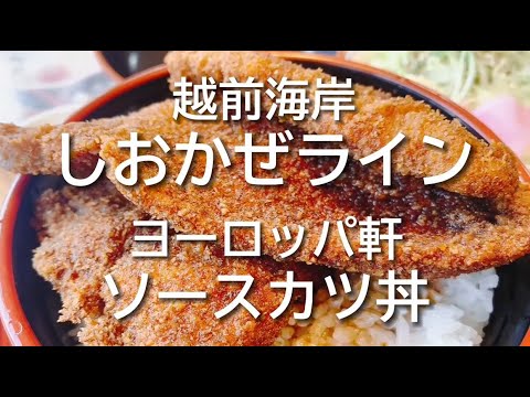 Salsa Europaken Katsudon Dos (Fukui) ☆Ninja650☆